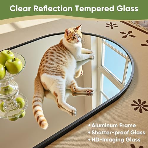 アーチ型全身鏡 58 x 18インチ、スタンド付き全身鏡、壁 - Arch Mirror Leaning のレビューと価格