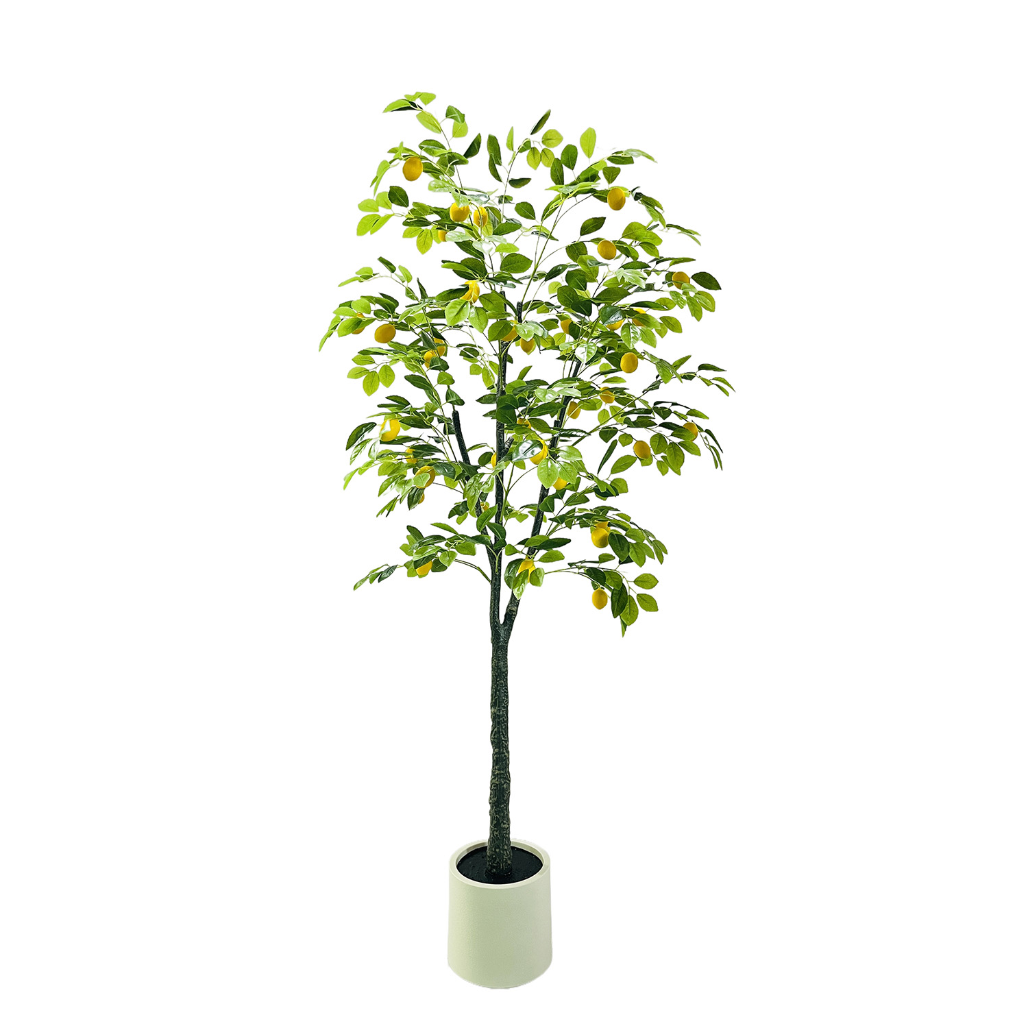 レモンツリー人工植物、180cm大型人工植物（鉢植え）、リア - Interior Design Office のレビューと価格