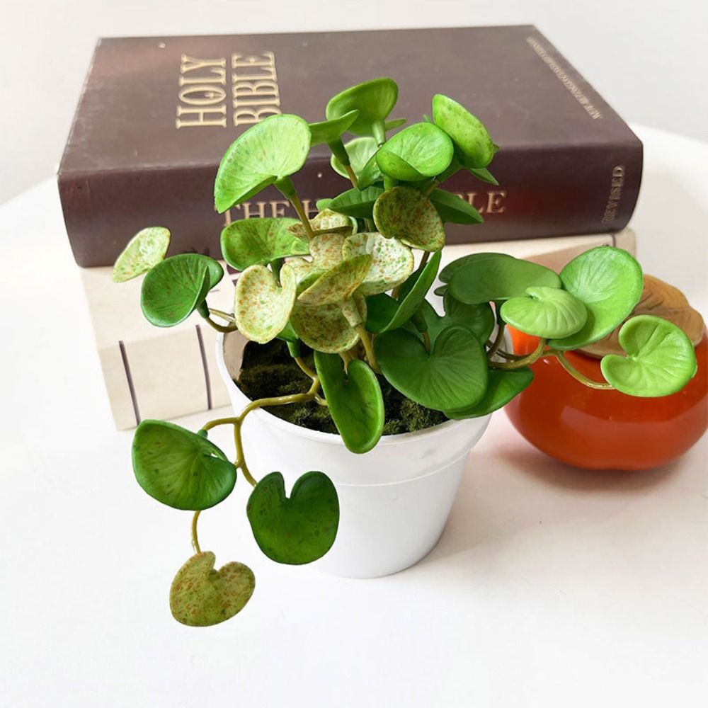 柔らかい接着剤人工植物,エヴァ,緑の多肉植物の葉,壁掛け,家 - Interior Design Office のレビューと価格