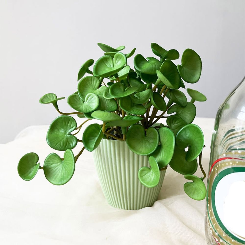 柔らかい接着剤人工植物,エヴァ,緑の多肉植物の葉,壁掛け,家 - Interior Design Office のレビューと価格